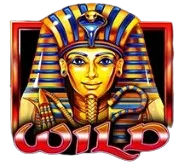 Wild Symbol
